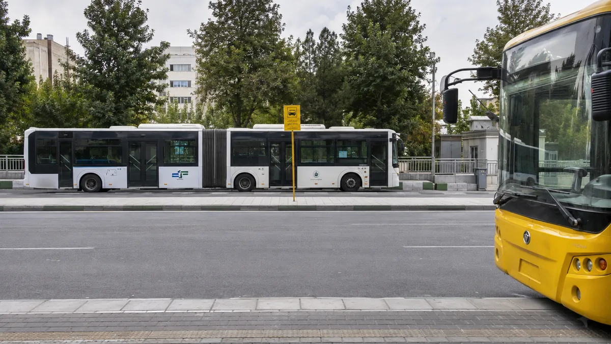Buses