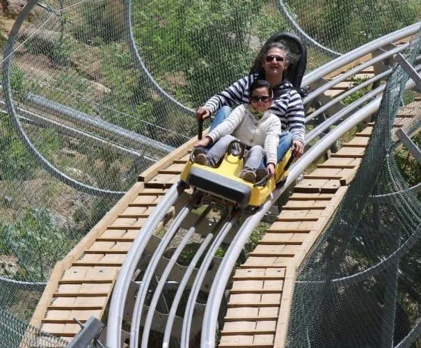 Two riders in a yellow bobsled-style car descending the metal track of the mountain coaster built into a green hillside at Alavi Park